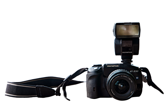Fotograaf maakt een foto met een digitale camera